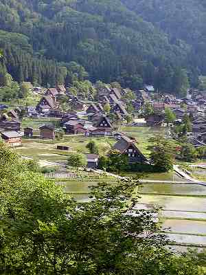 20070611shirakawa (8).jpg